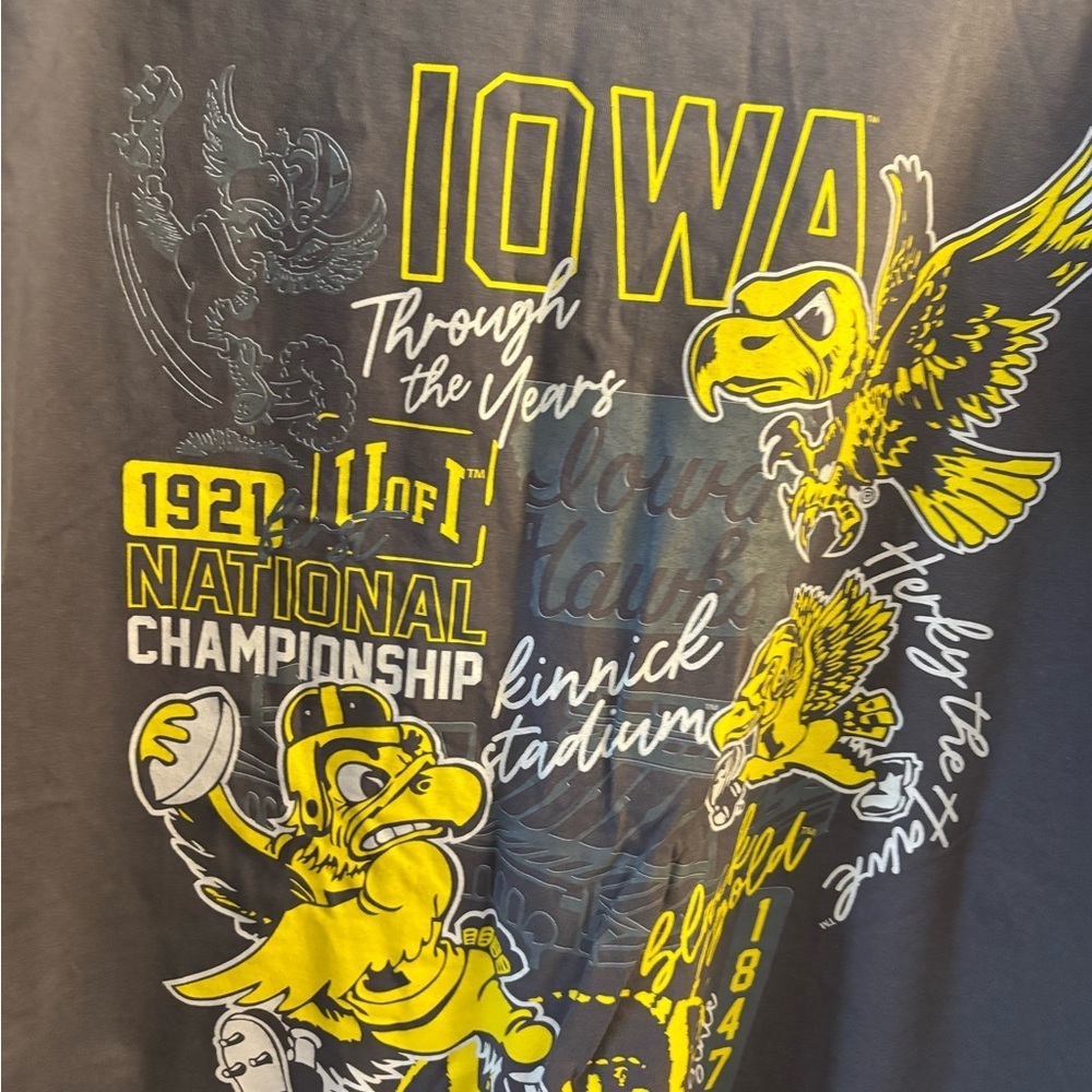 Mens Gray Iowa Hawkeyes T-Shirt Sz 3XT - Picture 6 of 6